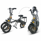 3 Wheel Foldable Electric Tricycle Bike High Speed Powerful 2 Pcs Battery 350W