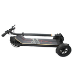 3 Wheels Powerful Electric Scooter 500w Power 120kg Max Loading Mobile Electric Scooter