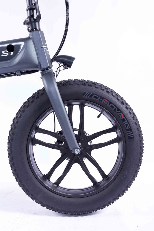 Two Wheel Mini Electric Fat Bike Big Tyres Rechargeable 36v Battery
