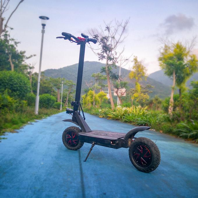 150kg Max Load Adult Electric E Scooter 60 80km 3600W