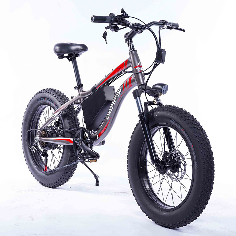 electric bike with gears