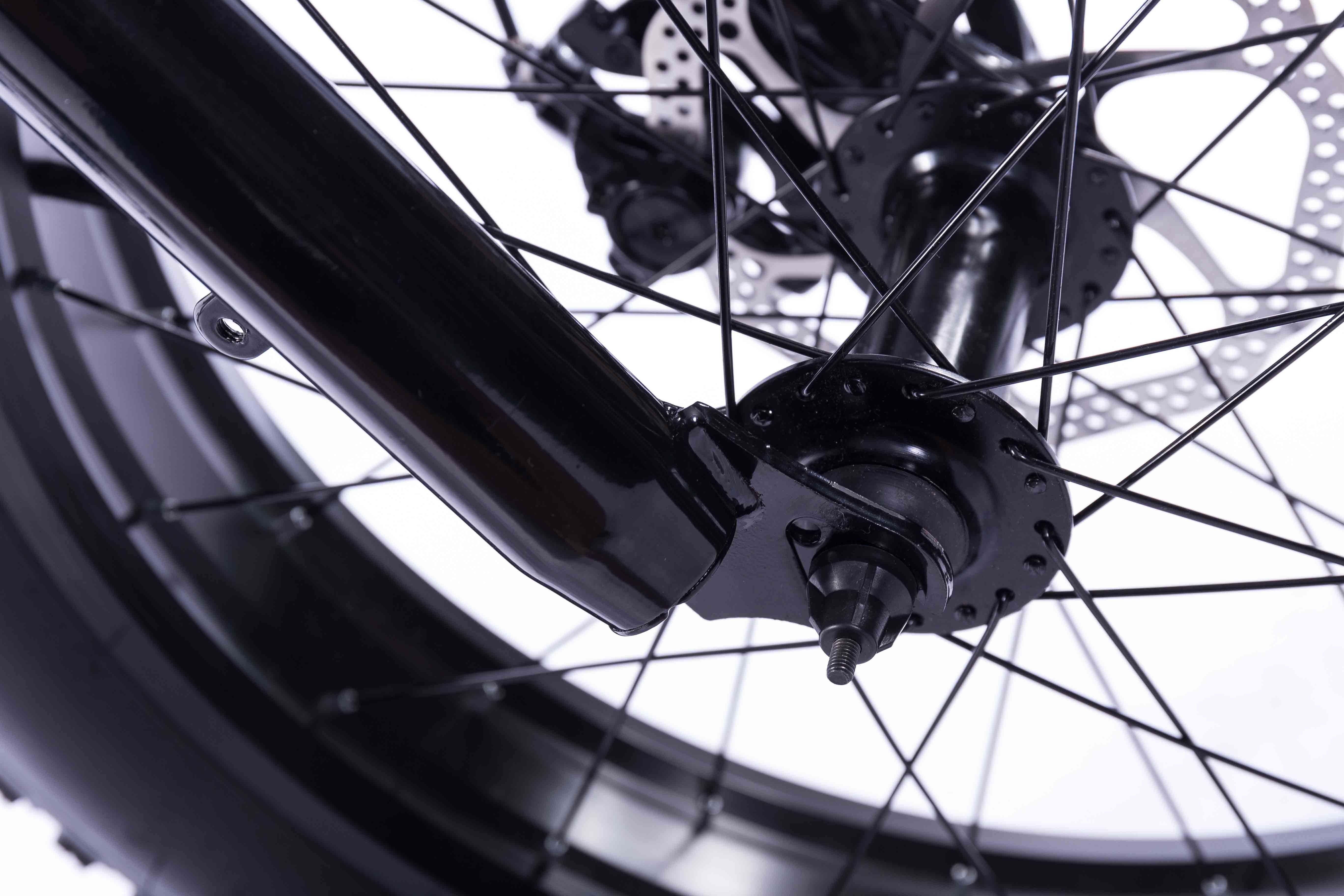 Black 20 Inch Electric Bike , Brushless Motor 36v Fat Wheel Electric Bike Black 20 Inch Electric Bike , Brushless Motor 36v Fat Wheel Electric Bike