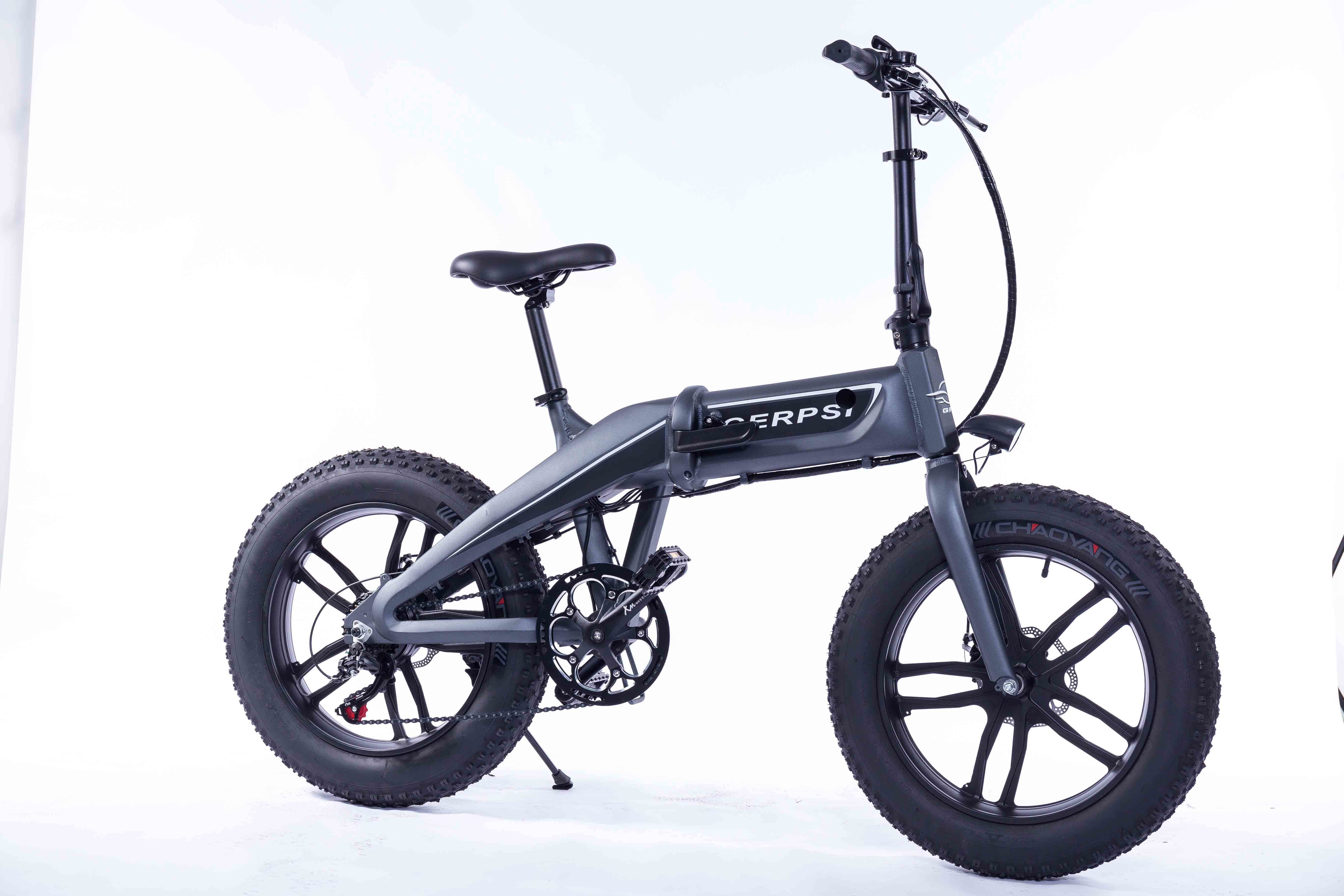 mini electric fat bike