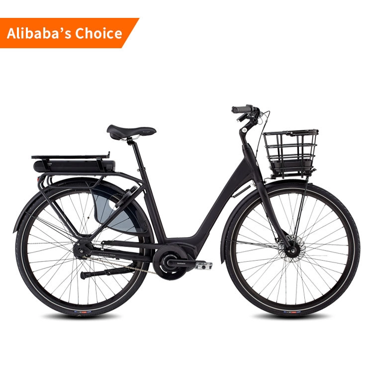 pl130677348 36v 10ah electric city bike hub motor lithium battery