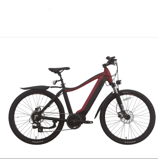 pl80144782 200w 2 wheel drive electric bike adult 29 inch 40 mph e fat tire portable motorized bike