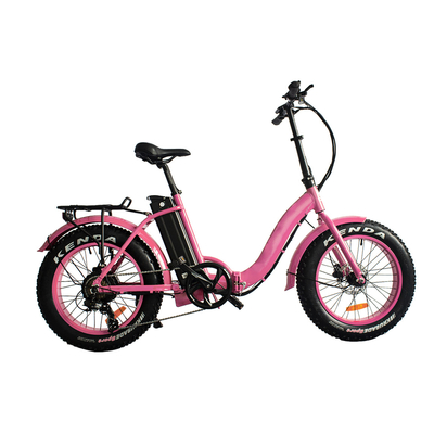 Adult Size Portable Electric Bike Lithium Battery Powered