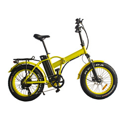 48V 500W Portable Electric Bike 6061 Alloy Structure