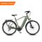 36v electric bike 29 inch  250W electric off road motorcycle