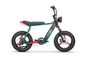 Adult Hybrid Electric Mountain Bike  8 Speed  Lithium Battery power supply