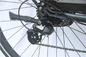 12&quot; Portable Electric Bike Fat Tire For 350 Lb 400 Lb Person 200w E Bike