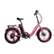 Adult Small Wheel Electric Folding Bike 500w 48v 25km/H Electric Cycle Foldable