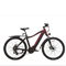 200w 2 Wheel Drive Electric Bike Adult 29 Inch 40 Mph E Fat Tire Portable Motorized Bike