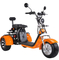 1000w 1500w 2000w Citycoco 3 Wheel Electric Scooter City Coco Eec Europe