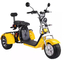 EEC Citycoco Tricycle 3 Wheel Electric Scooter 2000w 1000w 1500w