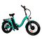 48v Fat Tire Electric Bike 20 Inch 500w 40 Mph Battery Powered With Thick Tires
