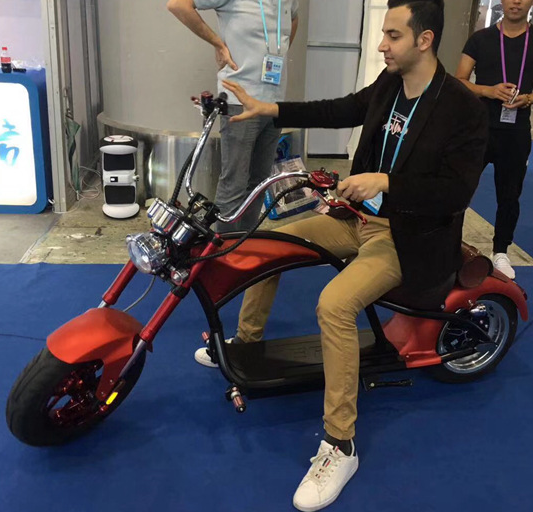 20 Inch Fat Tire Electric Bike 500w 48V Foldable Ebike Fat Tire Golf