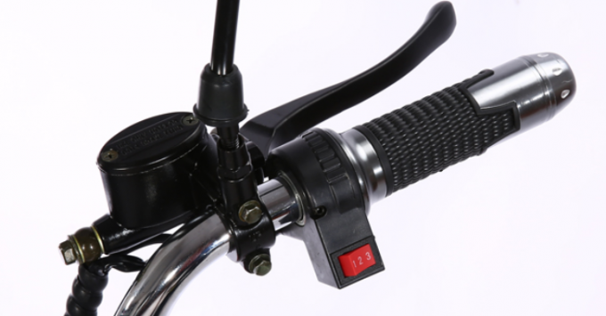 Fat Tire Harley Citycoco Electric Scooter 2000w 2 Wheel Long Range 15