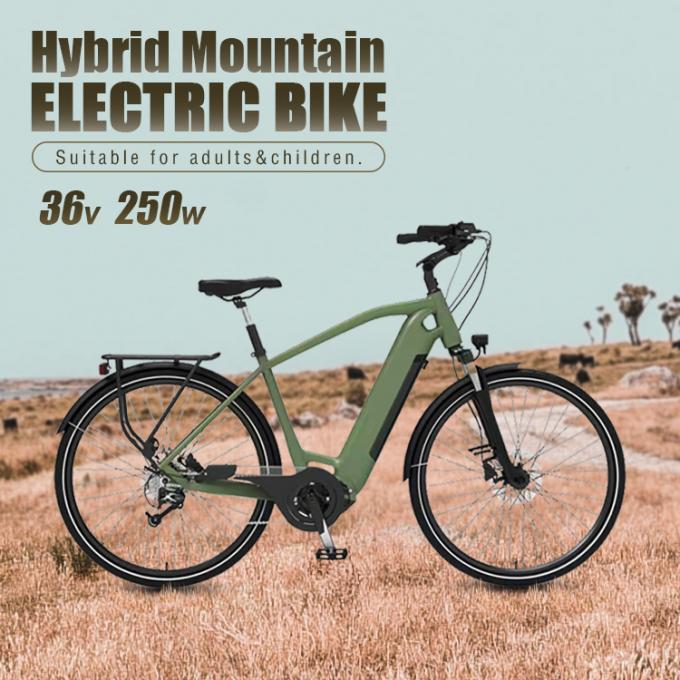 36v electric bike 29 inch 250W electric off road motorcycle 0