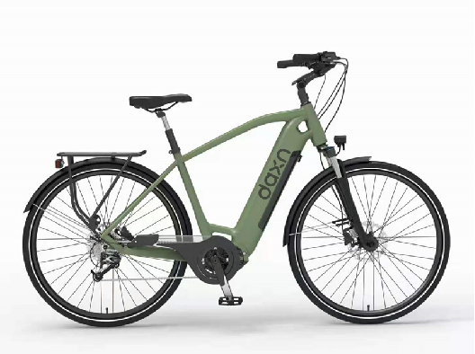 36v electric bike 29 inch 250W electric off road motorcycle 15