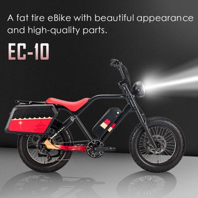 250W 750w Elektrische Fiets Bicycle Battery 48v 20AH Fat Tire For Adults 1