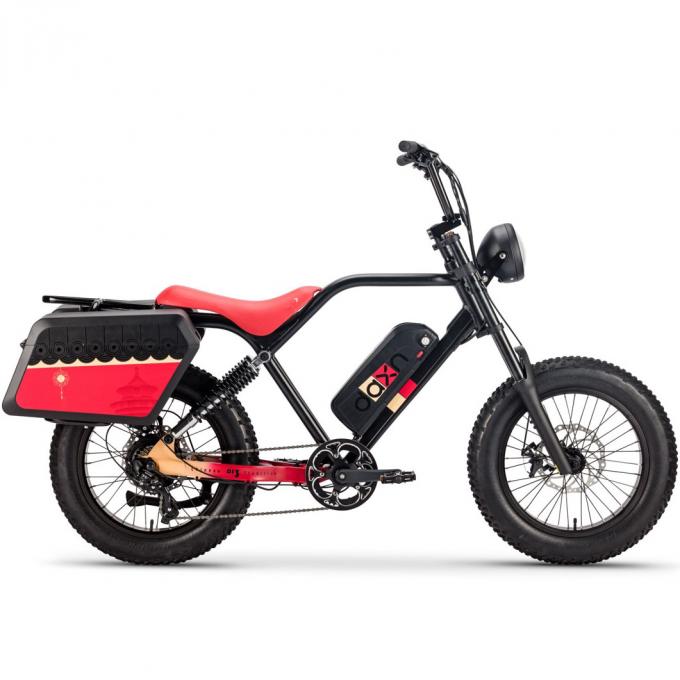 250W 750w Elektrische Fiets Bicycle Battery 48v 20AH Fat Tire For Adults 9