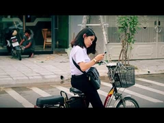 250w low cost 48v lcd display city electric dirt bike eu 20 inch 36V electric bike