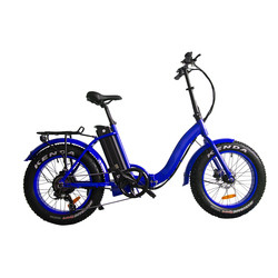 Rear Hub Motor Folding 48V Aluminum Alloy Portable Ebikes